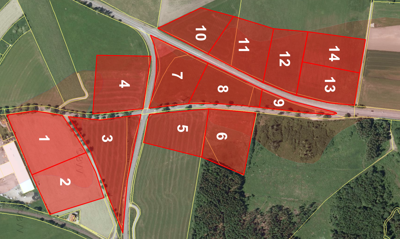 Abbildung 1: Beflogenes Areal mit einer Fläche von rund 24 ha. Die Bereiche stellen die einzelnen Flugabschnitte der Drohne dar.