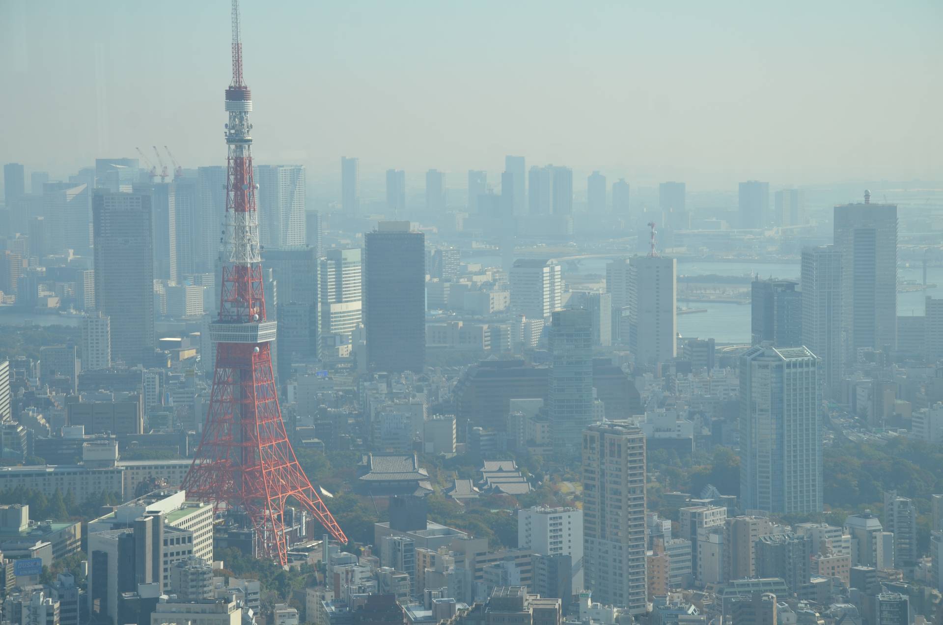 Tokyo Tower – Der rote Fernsehturm!