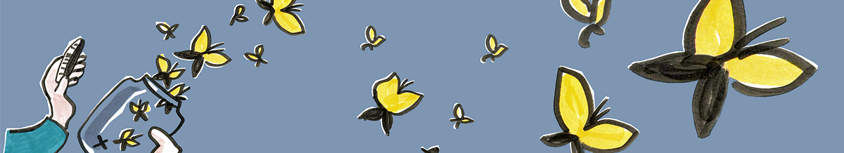 Schmetterlinge | Illustration: Lisa Frühbeis