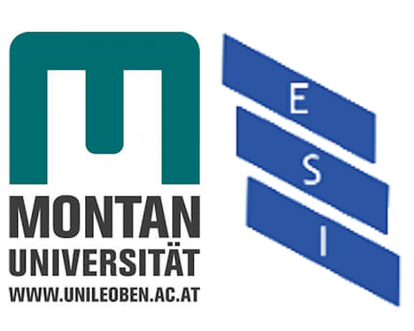 Logo: Uni Montan-ESI-Leoben