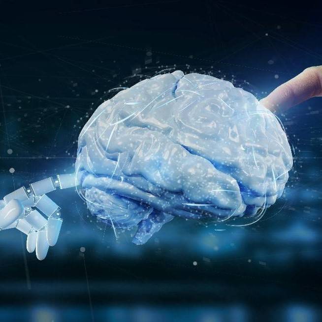 Mensch-KI-Interaktion. Roboterhand. Gehirn. Menschenhand. Foto: Colourbox
