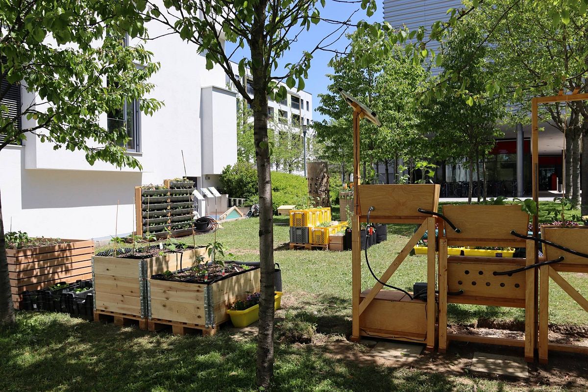 Aufbauarbeiten Urban Gardening