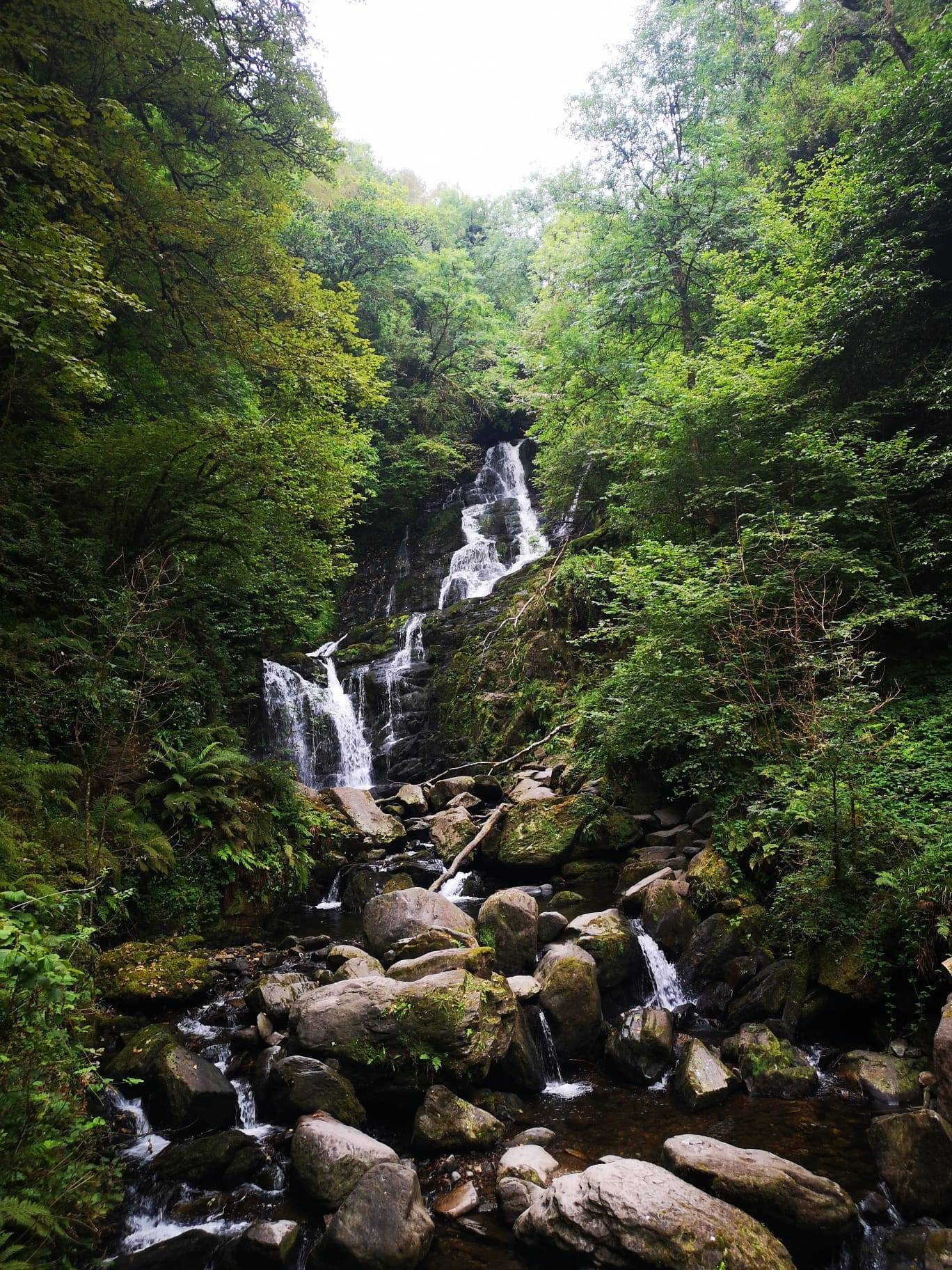 Torc Waterfall im Killarney National Park