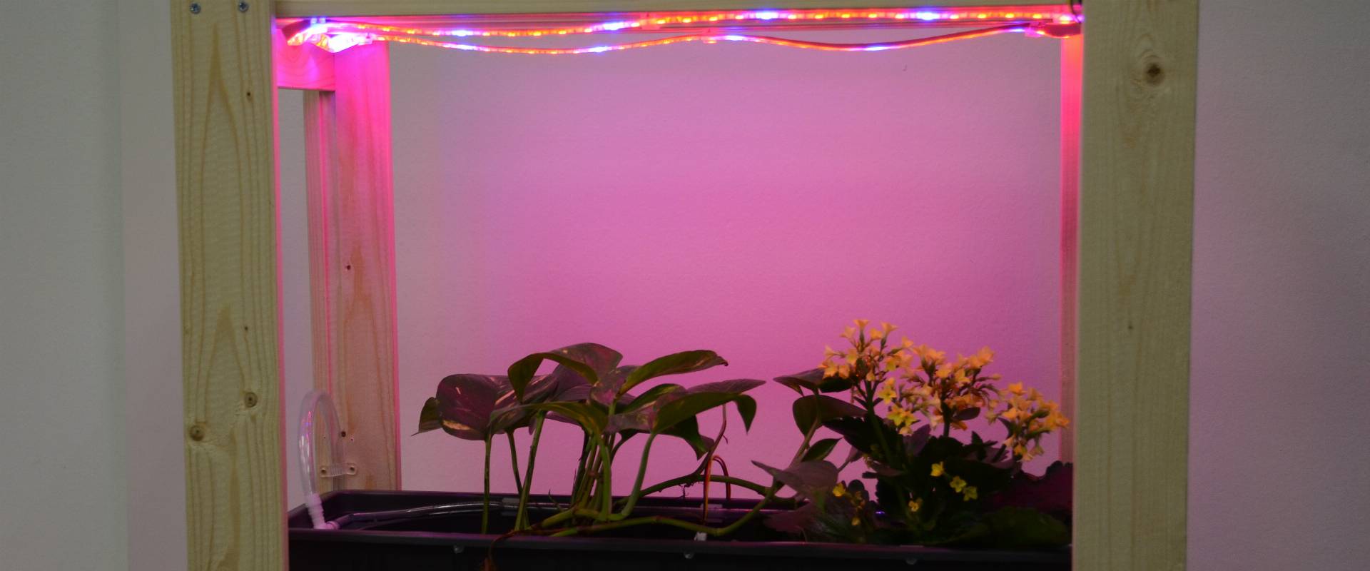 Ebene des smarten Blumenregals mit Bewässerung, Feuchtigkeitsmessung und Beleuchtung