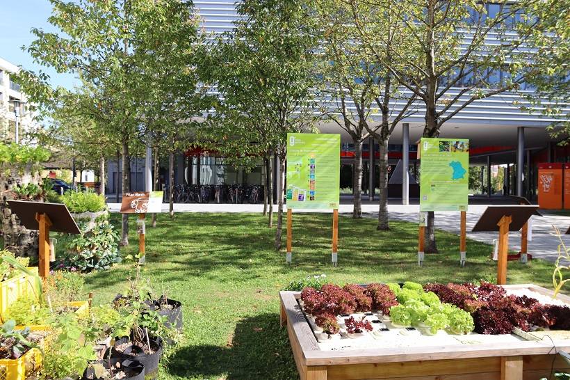 Damit bald wieder geerntet werden kann: Der Urban-Gardening-Demonstrationsgarten an der Hochschule Augsburg wird am 04.05.2022 ab 10 Uhr für die neue Saison bepflanzt. © Jessica Hövelborn