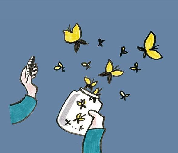 Piktogramm: Schmetterlinge - Spotlight
