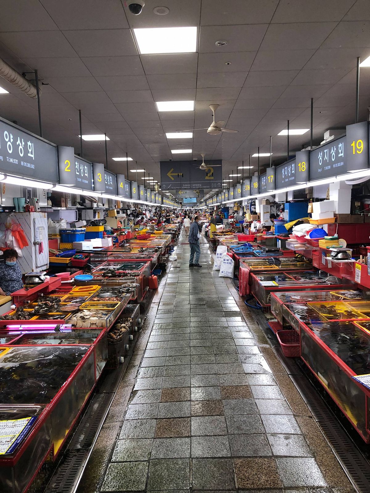 Jagalchi Fishmarket in Busan.