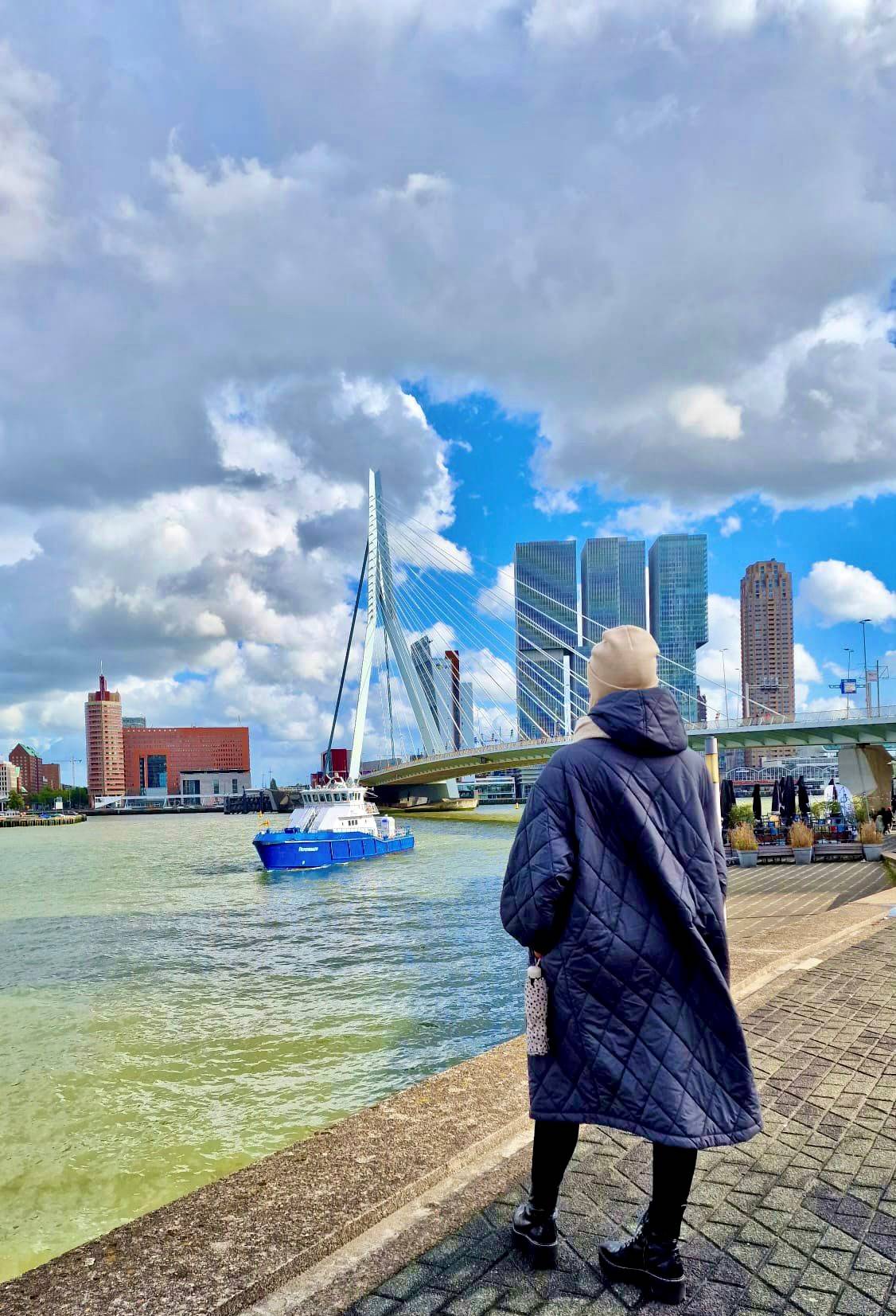 Rotterdam, Erasmusbrücke