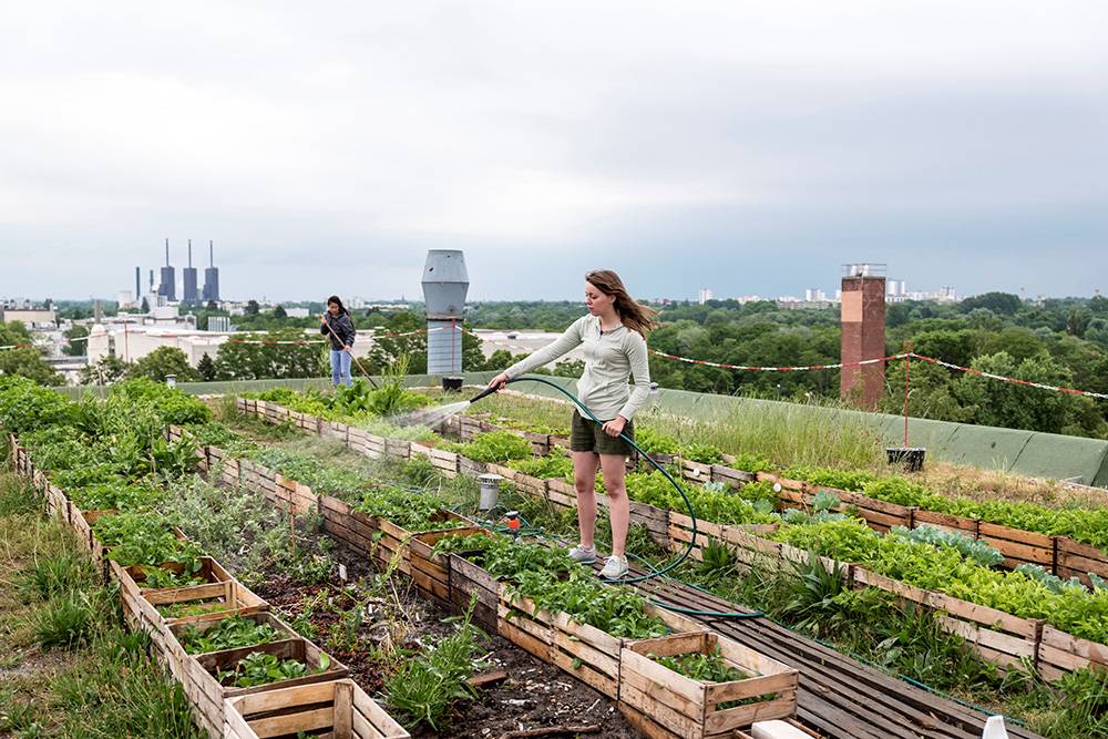 Städtischer Dachgarten - Urban Gardening