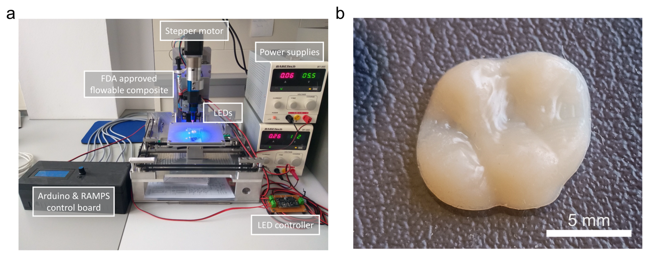 Novel 3D printer (a) and artificial occlusal surface made of composite material (b)